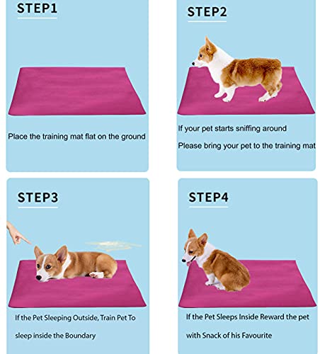 Image of Trance Waterproof Pet Training Pads | Reusable Pee Pad for Dogs Cats Puppy and Pets | Washable Pet Dry Sheet | Potty Trainer | Soft and Hypo-Allergenic (Large, Size 1.4 x 1 m | 140 x 100 Cms, Berry Pink)