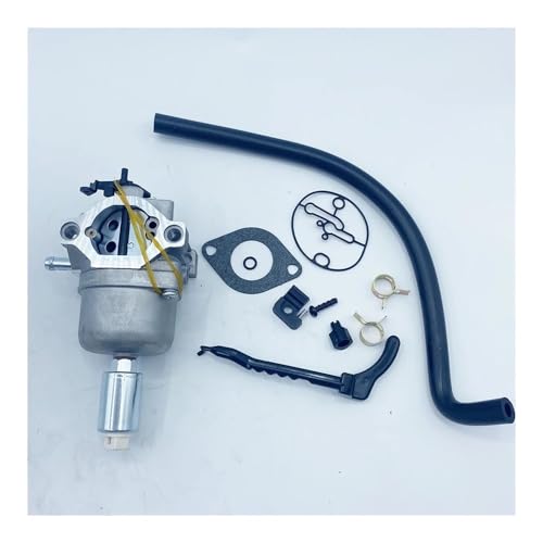 Carburateur Briggs 695412 résout les fuites d'essence et les démarrages difficiles