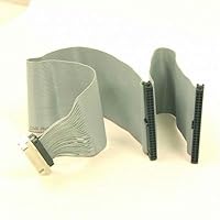 Algopix Similar Product 10 - WiebeTech Cable49 SCSI Cable