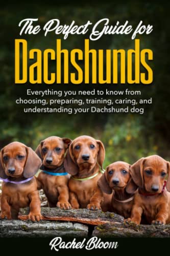Bild: The Perfect Guide for Dachshunds: Everything you need to know from choosing, preparing, training, caring, and understanding your Dachshund dog f�r 7,97 EUR (-29%) statt 14,00 EUR bei amazon.de
