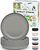 Grow Forward Premium Wheat Straw Plates - 10 Inch Reusable Hard Plastic Dinner...