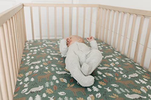 Premium Fitted Knit Crib Sheet/Toddler Sheet Atwood By Copper Pearl #TOP4