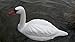Pond H2o Full Size Floating White Mute Swan Decoy, Plastic Lifelike Floating Swan Decoration for use in Water Garden Ponds, Pools, Yards & Lakes