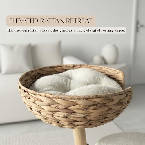 Árbol para Gatos Grande con Ramas Naturales y Casa miniatura 3