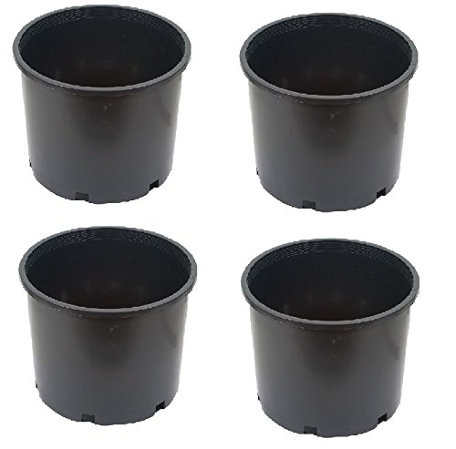 SPHINX Plastic Small Nursery Pots Planters - (Height/Depth - 10 cms/4 Inches) -Black (4)