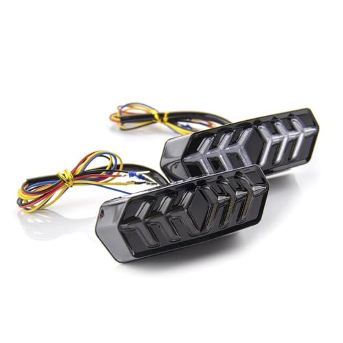Luz trasera CTX700 con intermitente para ruta 6
