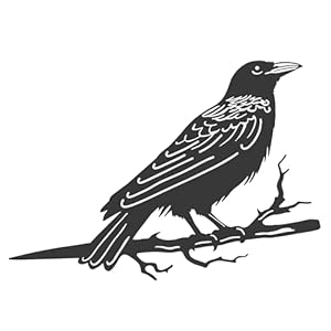 Metalbirdsyarddecorforoutdoormetalyardartoutdoorandgardendecorationsmetalodinsravenstatueoutdoordecorgiftsforwomen Urban Country Home Decor Metal birds yard decor for outdoor metal yard art outdoor and garden decorations metal odins raven statue outdoor decor gifts for women urban country home decor