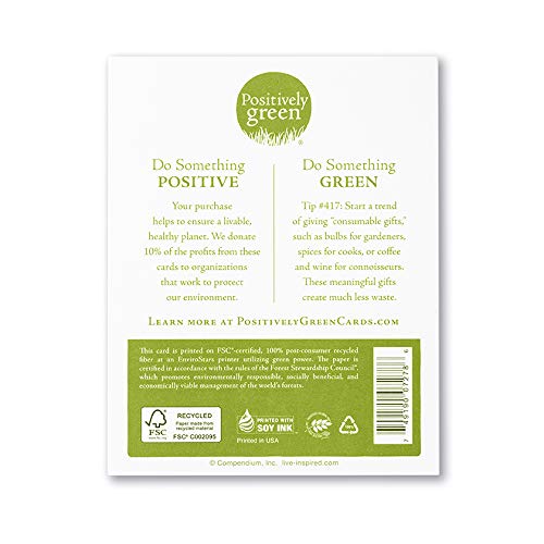 Positively Green: 6 Pack "Joy Is Everywhere" Holiday Cards #TOP3