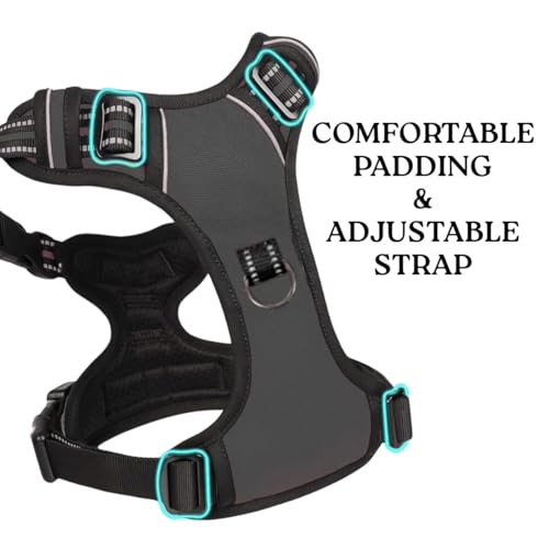Image of No Pull Dog Chest Belt Harness, Comfortable & Adjustable Size for 5-13 Kg Pet (Black, Small)