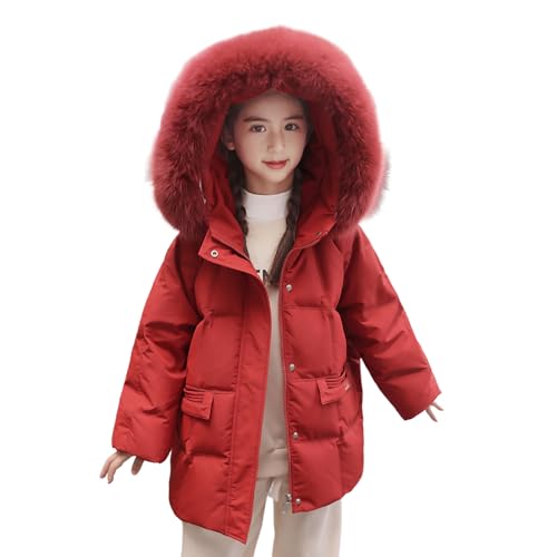 [PeaBaby] LbY AE^[ ̎q R[g _EWPbg _ER[g N[t@[t h ~ qR[g t[ht O q  g  ۉ WPbg qp WjA H~  (JP, g, 14