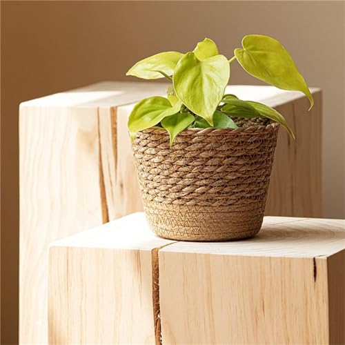 JITASHWA Woven Plant Pot with Liner, Seagrass Planter Basket, Decorative Flower Pots Cover, Indoor Planter Plant Containers, Home Decoration, Small (M)