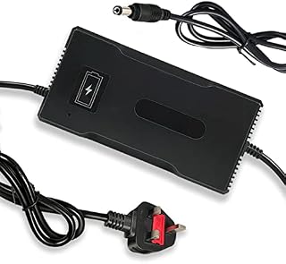 YZPOWER 48V 4A Lithium Battery Electric Bike Charger, Output Voltage 58.8V 4A 14S For 4Amp Battery Fast Charging For Pedelec, Electric Scooter, Ebike With DC5.5mm*2.1mm Connector