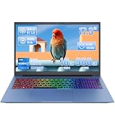 Laptop i5-1038NG PC with Office 17.3"/16GB Memory 960GB SSD/Full HD LCD/6000mAh Battery/Type-C RJ45/USB 3.1x...