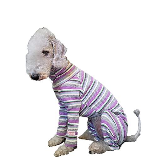 D DOGGY STAR C^O {[_[p[X Ȃ ݌ɐ؂ Z[  pW} C^A O[nEh xhgeA EBybg (2XL, O[)