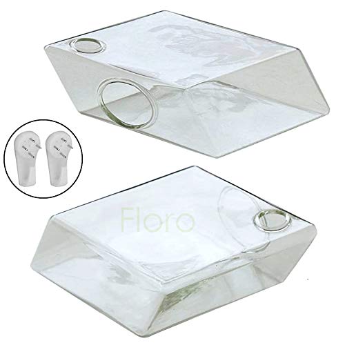 Floro Glass Wall Hanging Terrarium, Elegant Diamond Shaped Vases, Minimalistic, Modern & Stylish Wall Décor, Ideal For Ferns, Succulents, 2 Pcs Per Pack #TOP1