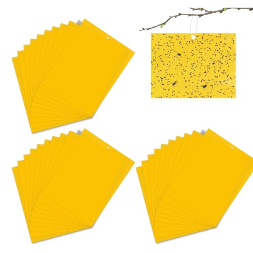 KEQAR 30 unidades Combate mosquitos de los hongos, fruta, Atrapa insectos y polillas, Control de plagas, Trampas adhesivas de doble cara para moscas, cucarachas y procesionaria (20 x 15 cm) (Amarillo)