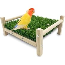 FlidRunest Bird Foraging Bed, Parrot Hammock Bed, Parrot Grass Perch Bed, Bird Perch Conure Platform Grass Forage Toy for Parakeet, Cockatiel, Lovebird, Budgie