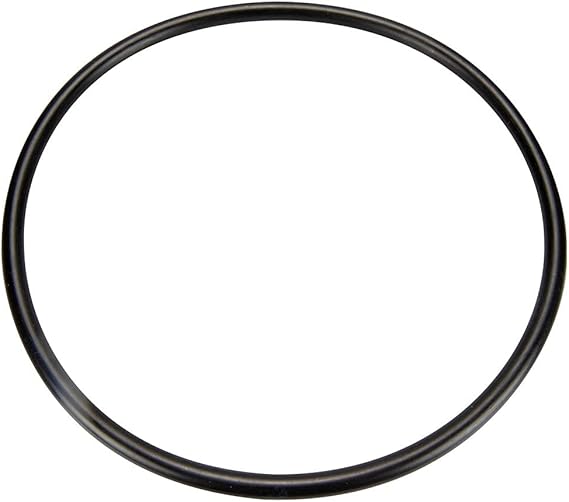 Pentair 35505-1246 Index Plate O-Ring - Foto 4