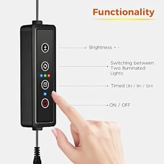 Bamworld Plant Stand with Grow Light Plant Shelf for Mutiple Pots 3 Tiers Ladder Plant Holder for Living Room Patio Boho Home Decor for Gardening Warm Light