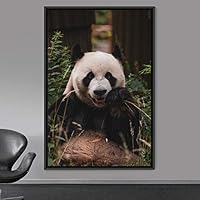 Framed Canvas Wall Art Panda Animals Bear Expressive Living Room Multicolor Photography Tropical - 16x24 inches