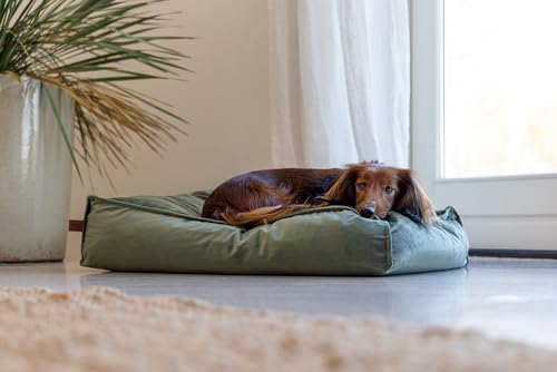 Designed by Lotte Nalino, Hundekissen, Samt, Grün, 70x55x15 cm