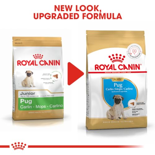 Image of Royal Canin Pug for Puppy Dogs, 500 Grams, Dry Food, Supports Weight Management & Digestive Health