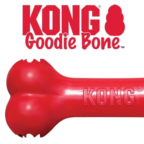 KONG Goodie Bone – Leckerli-Spender aus Naturkautschuk – Rot – für große Hunde (2 Stück)