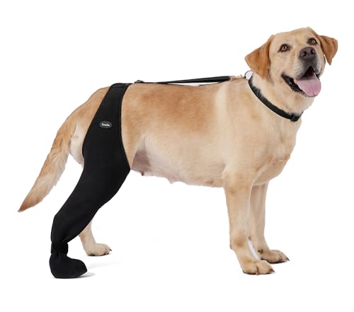 Dog Socks to Prevent Licking Paws ,Breathable Leg Sleeve to Stop Licking and Biting, Firm and Secure Adjustable Size Dog Recovery Sleeve Socks (2XL-Right)
