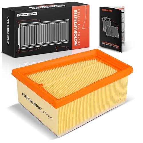 Frankberg Engine Air Filter Petrol Compatible with Duster HS Duster Box Logan LS S.a.n.d.e.r.o Largus Estate Kuuntiltar Box X76 Primastar Box X83 Replace# 1654600QAA