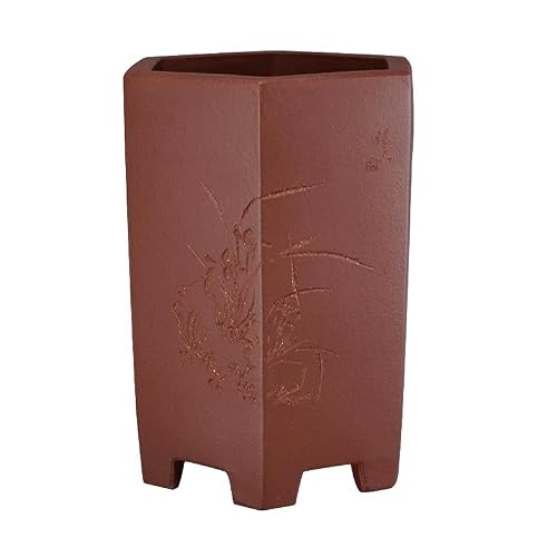 ADERFETBI Plant Pots Indoor Purple Clay Hexagonal Hand-carved Classical Desktop Green Plants Breathable Basin