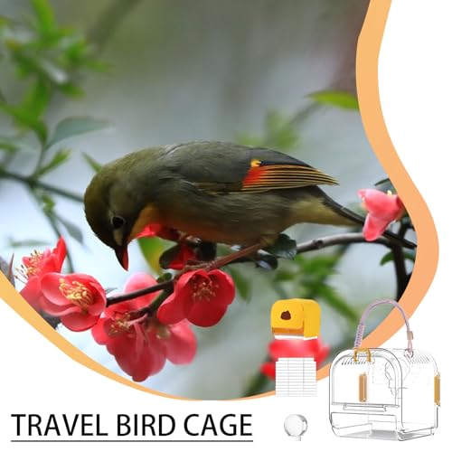 Cage pour calopsittes propre et sans odeur avec bac extractible