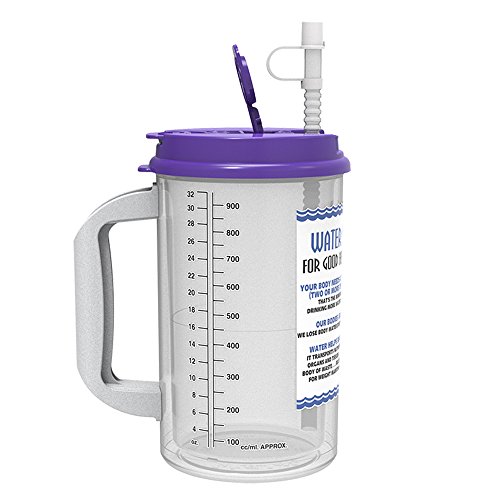32 Oz Insulated Cold Drink Hospital Mug With Purple Lid Water Essential Travel Mug Buy Online In Cambodia Whirley Insulated Hospital Mug Products In Cambodia See Prices Reviews