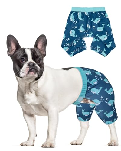 Image of CuteBone Dog Swim Trunks Swimsuit Durable & Comfortable - Quick-Dry, Adjustable Waistband Shorts, UV Protection Bikini- Perfect for Beach, Pool & Outdoor Fun, Dinos DST15L