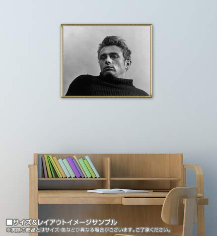 Amazon | ポスター ロイ シャット ジェームス ディーン 額装品 アルミ