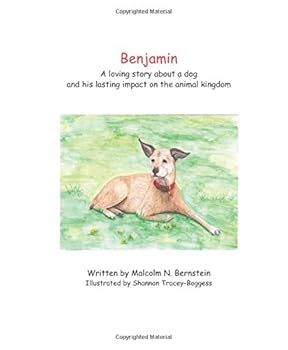 Paperback Benjamin Book