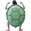 Turtle Shell