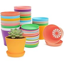 Tosnail 24 Pack 4" Small Plastic Plant Flower Pot with Saucers, Seedlings Nursery Pots Planter with Pallet Planting Gardening Containers - Assorted 8 Colors