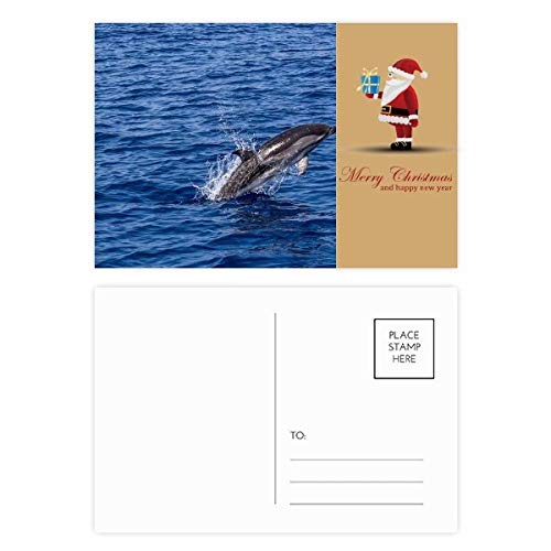 Cartes postales d'orque et océan nature pour Noël Lot de 20 pièces illustrées