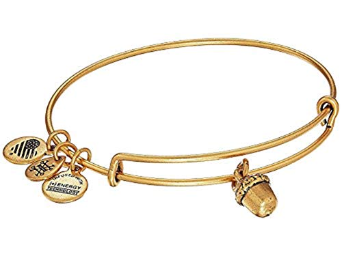 Alex and Ani Unexpected Blessings II Rafaelian Gold Bangle Bracelet