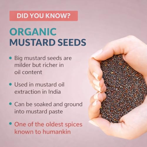 Image of Mustard Seeds (Rai) Whole 250g | Natural Indian Spices Sarson Seeds