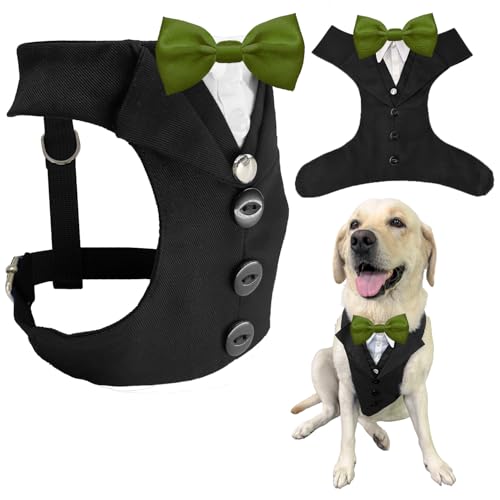 AVERYDAY �� �^�L�V�[�h �������� ���̃X�[�c �l�N�^�C �R�X�`���[�� �a���� �n���E�B�� �R�X�v�� �N���X�}�X �p�[�e�B�[ �y�b�g �t�H�[�}���E�F�A ���l�N�^�C�t�� �^�L�V�[�h ���^�� ��^�� �u���h�b�O ���u���h�[���E�n�X�L�[