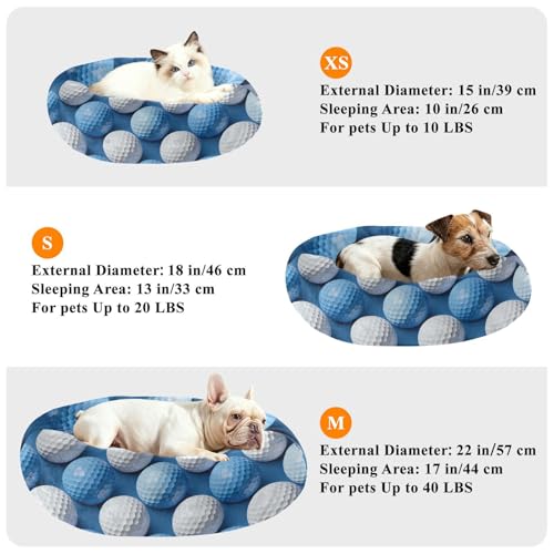 Lit antidérapant pour chat de taille moyenne avec jouet - 8