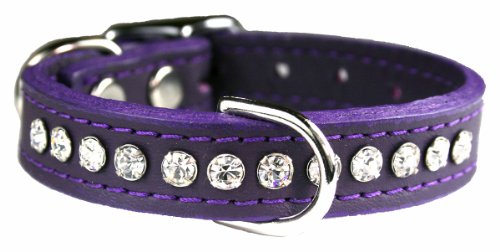 Image of Signature Leather Crystal Dog Collar, Grape Solid Grain Leather, Fits 6 inch-8 inch Neck Size, 10 inch Overall Length
