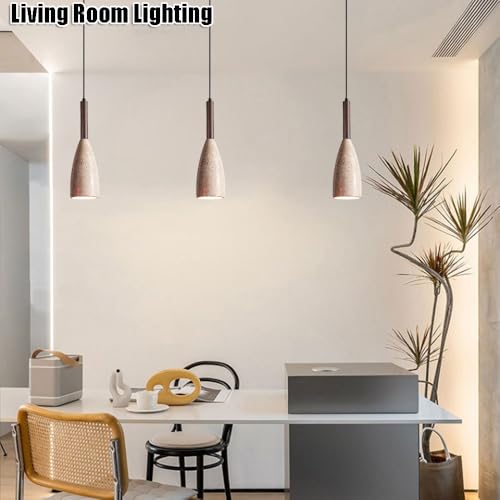 Plafonnier à vis E27 industriel et suspension design pour salon moderne