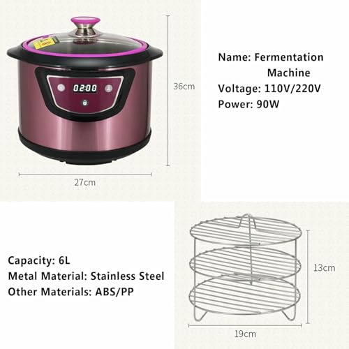 Fermenteur d'ail noir 6L machine automatique pour natto et yaourt