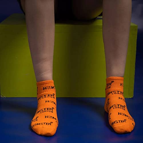 Image of HAMSTER London Multicolored Printed Cotton Socks Combo Pack of 4, Size 7-12 (Free Size)