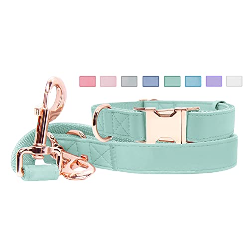 Soft Leather Dog Collar and Leash (6.6') Set - Stylish Rose Gold Heavy Duty Metal Buckle, 4 Adjustable Lengths Leash for Small Medium Large Dogs - Comfortable & Easy to Clean Mint Green L(15.4'-24.8')