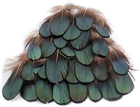 MISSKILY 3-6CM 1 Pack of 50 Small Pieces Lady Amherst Natural Green Pheasant Feathers DIY Craft Millinery Jewellery