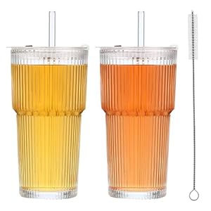 2 Pezzi 600ml Bicchieri da Acqua con Coperchio e Cannuccia, Bicchieri in Vetro con Pennello di Paglia, Bicchieri con Cannuccia,Ermetico, Adatto per Succo, Cocktail, Birra, Caffè