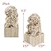 HEVSTIL 2-Pack Lion Post Finials,Fence Post Finial Newel Post Finial Wood Finials Decorative Delicate Wood Carved Finial Wood Finial Decoration Accessories
